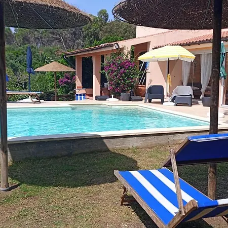 Peonia Sun Light SantʼAntìoco